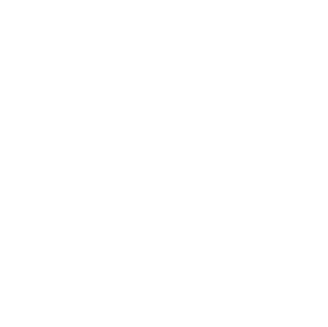 Community Initiatives